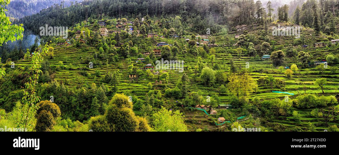 Farbenfrohe Häuser im Himalaya-Dorf Jibhi auf dem Berghang im Banjar-Tal Stockfoto