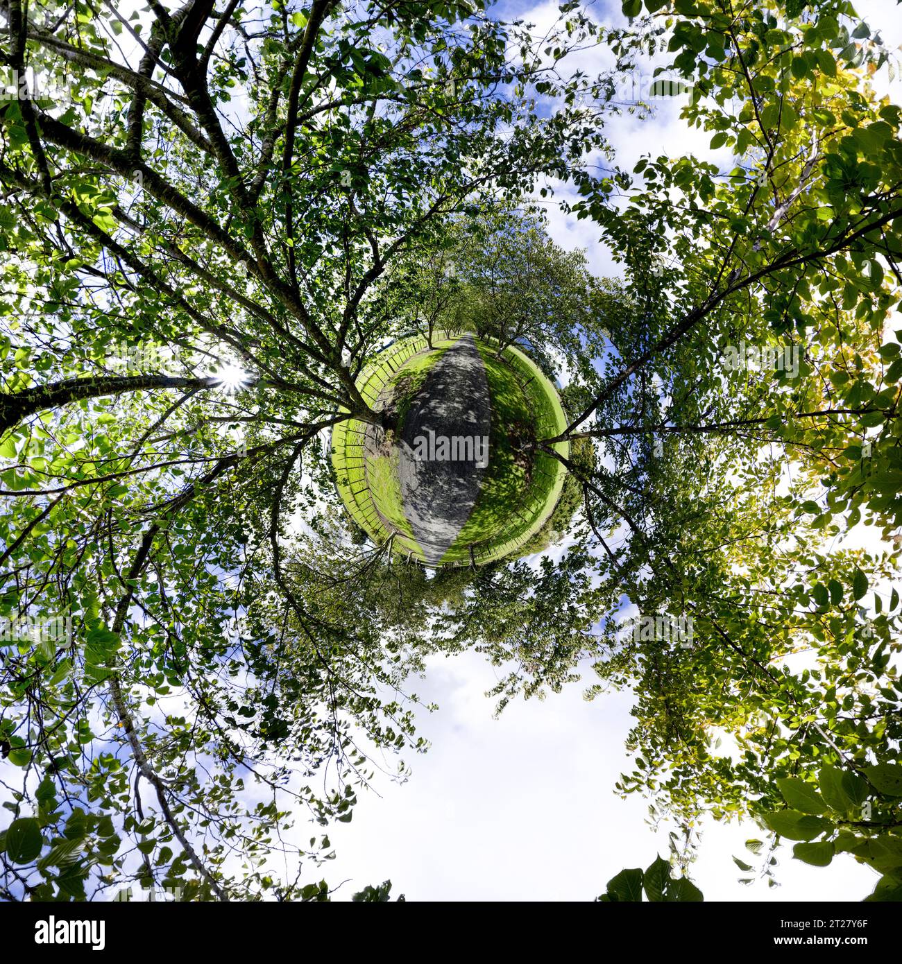 Kleiner Planet, 360-Grad-Kugel. Panorama Neuseeland Stockfoto