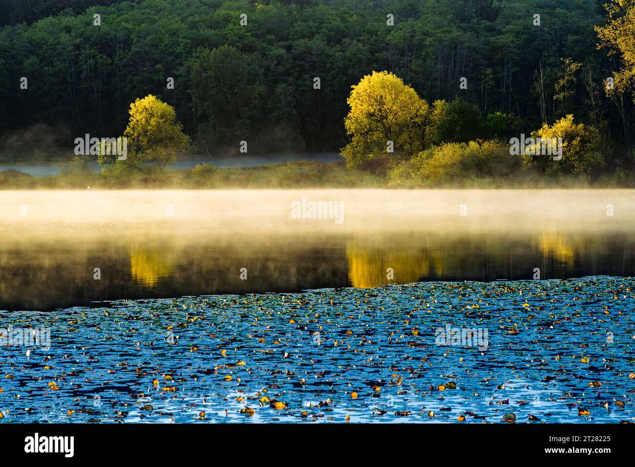 Herbst, Deer Lake Park, Burnaby, British Columbia, Kanada Stockfoto