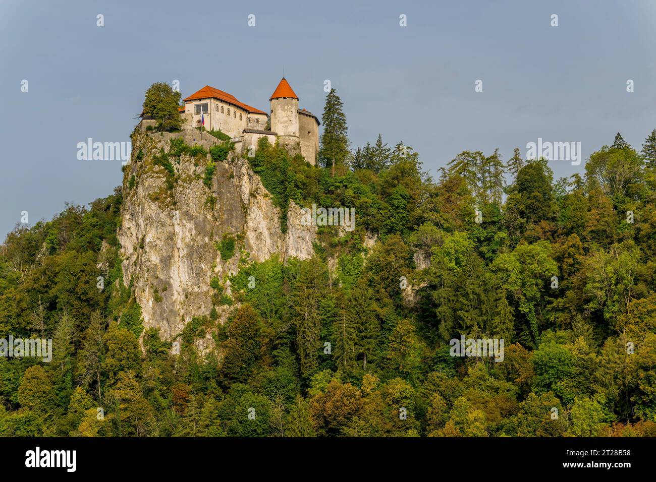 Blick auf das Schloss Bled über dem Bleder See, in Bled, Slowenische Alpen, Slowenien. Stockfoto