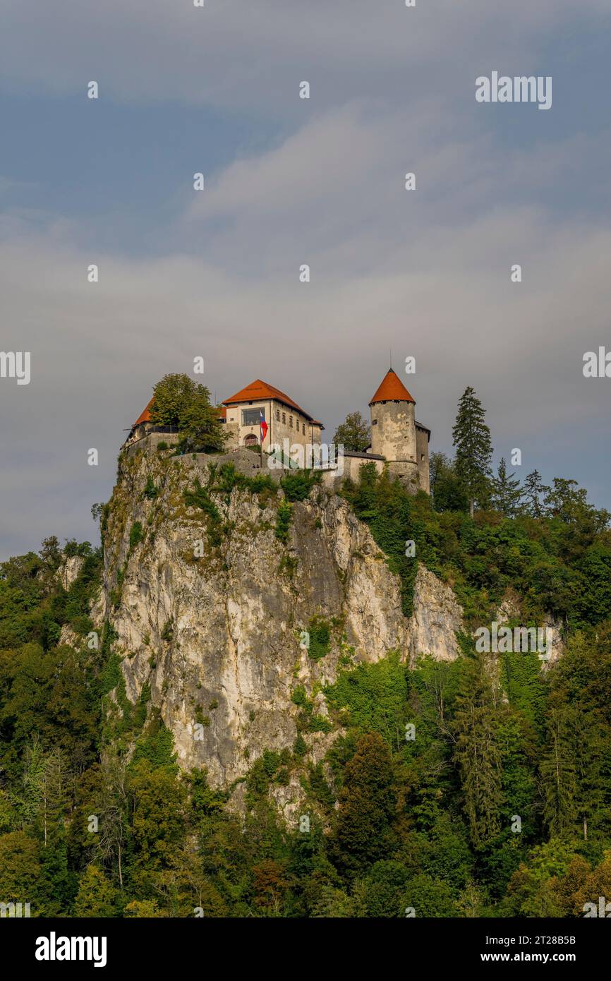 Blick auf das Schloss Bled über dem Bleder See, in Bled, Slowenische Alpen, Slowenien. Stockfoto