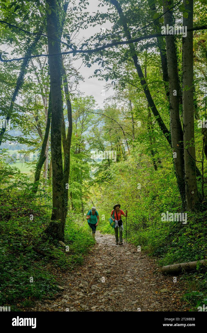 Menschen wandern durch den Wald zum Schloss Bled am Bleder See, slowenische Alpen, Slowenien. Stockfoto