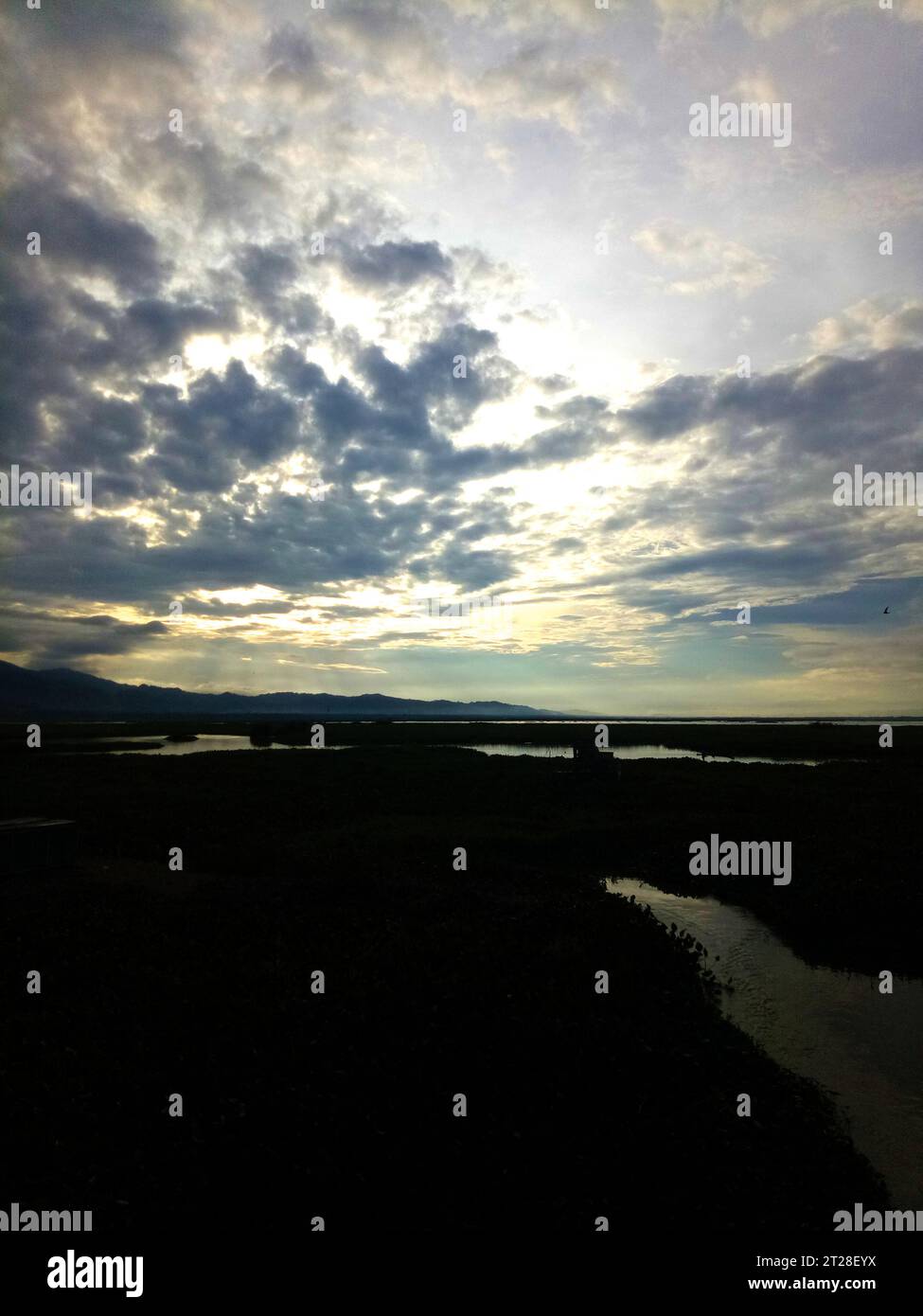 Blick auf die Wasserhyazinthe Lake Limboto. Blick auf die Wasserhyazinthe Lake Limboto. Detaillierte Sicht auf den See mit gewöhnlichen Wasserhyazinthen, Wasserpflanze Stockfoto