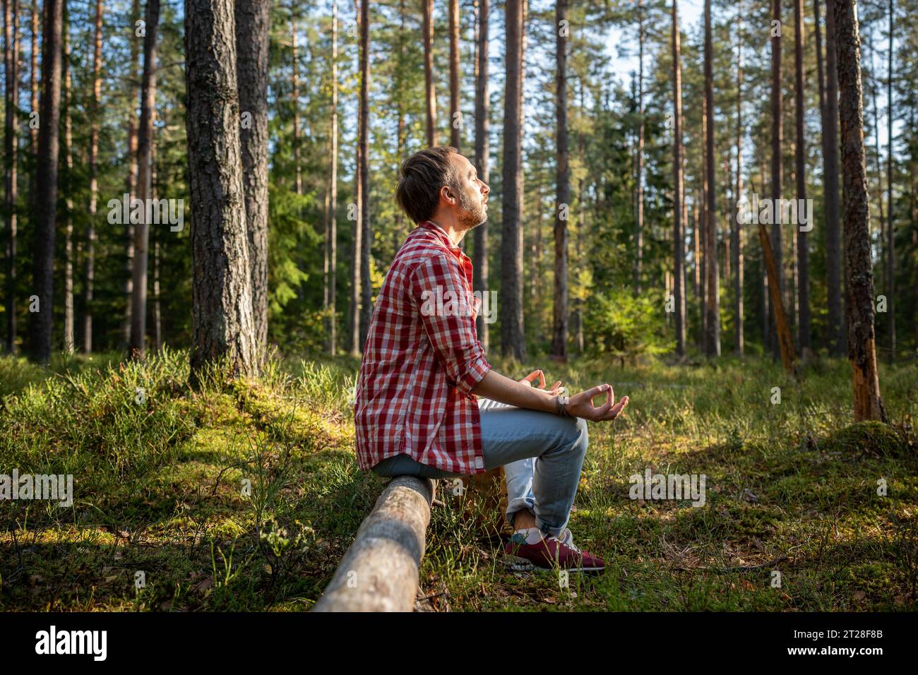 Entspannter Mann, der auf Baumstamm im Wald sitzt und über die Natur meditiert und spirituelle Praxis macht. Spannungswiedergabe. Stockfoto