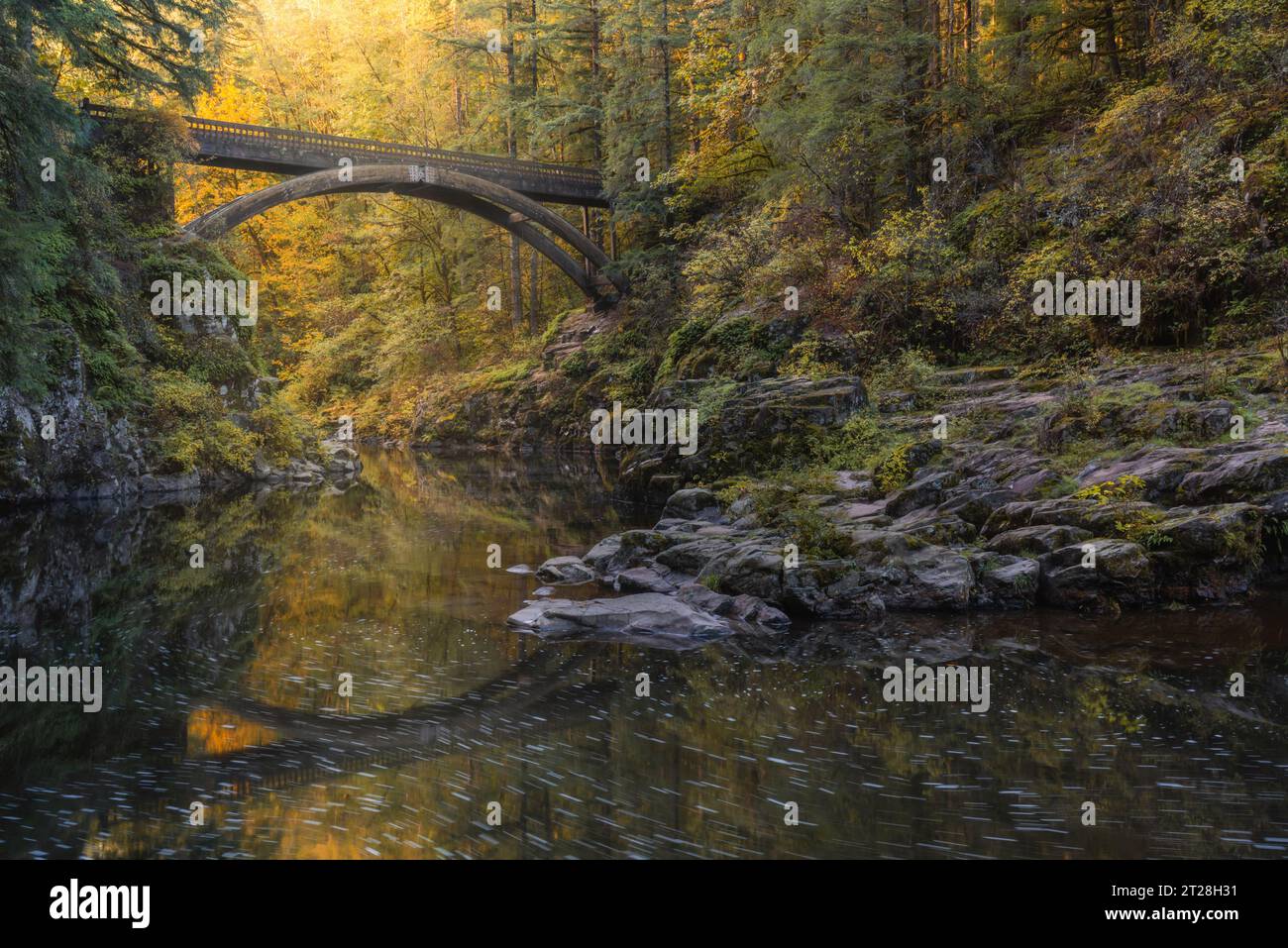 Märchenhafte Waldbogenbrücke, die im Herbst über dem ruhigen Fluss reflektiert Stockfoto