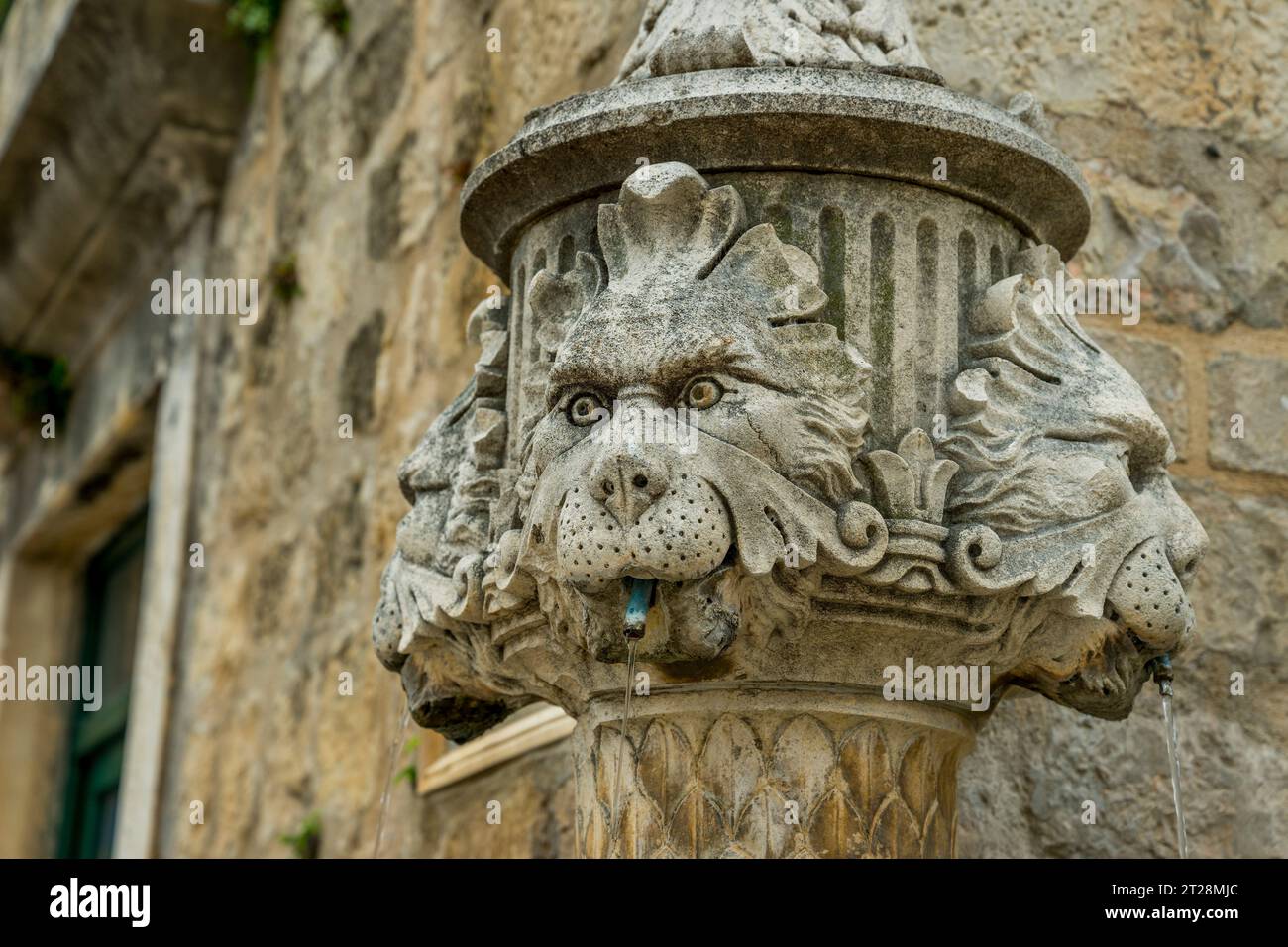 Der Löwenkopf-Brunnen in der Altstadt von Dubrovnik in Südkroatien. Stockfoto