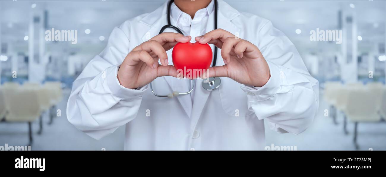Arzt, der im Krankenhaus ein rotes Herz zeigt, steht für medizinische Versorgung und Servicekonzept des Arztpersonals. Stockfoto