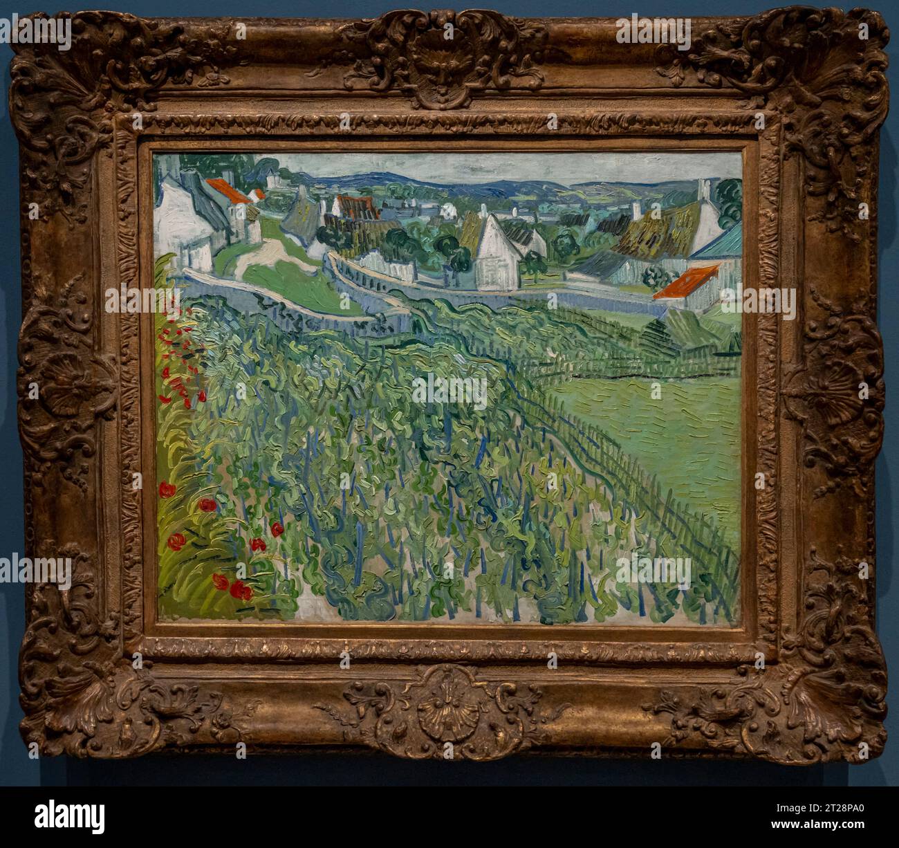 Paris, Frankreich - 10 08 2023: Museum Orsay. Weinberge in Auvers-Sur-Oise gemalt von Vincent Van Gogh Stockfoto
