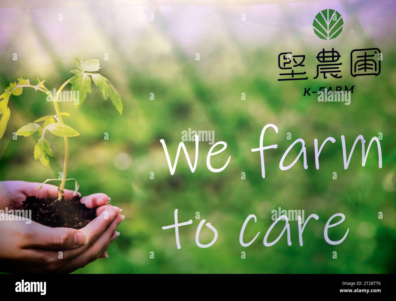 K-FARM der erste städtische Bauernhof in Hongkong, der Hydrokultur, Aquaponik und biologische Landwirtschaftssysteme umfasst. Hongkong, China. Stockfoto