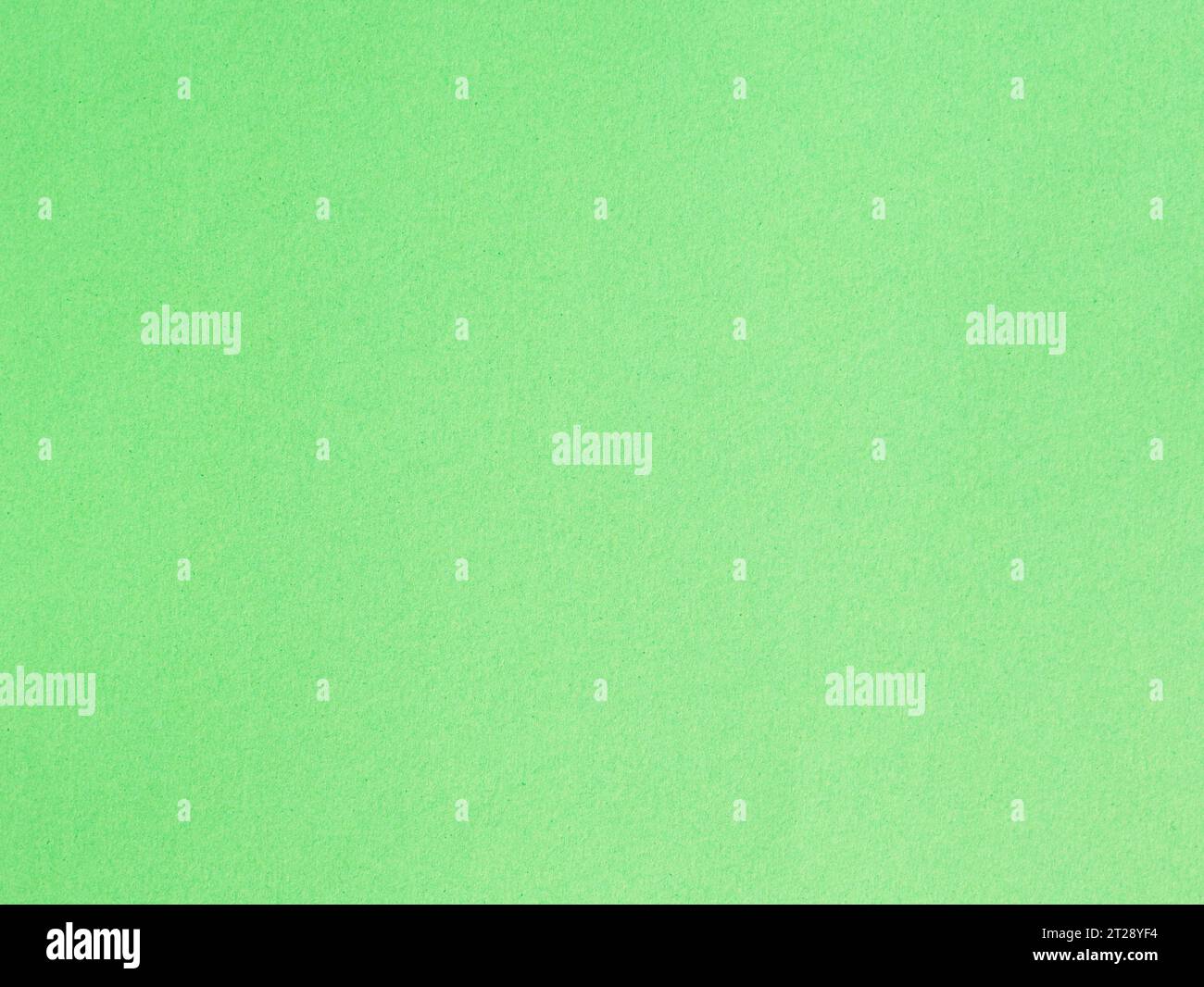 Foto eines Blattes frischen hellgrünen Papppapiers mit glattem Hintergrund Stockfoto