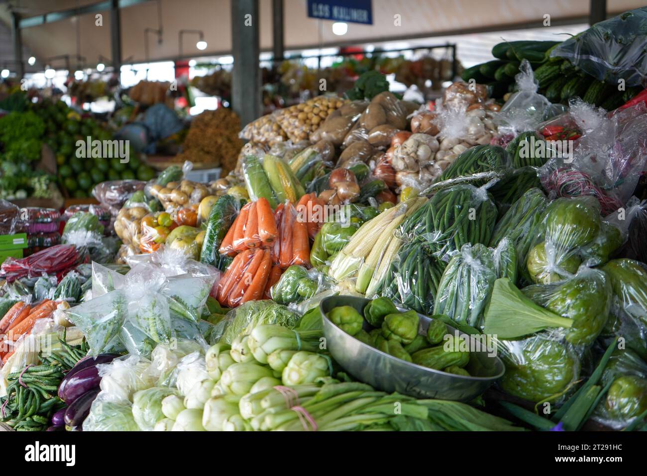 Viele Auberginen, Tomaten, Kartoffeln, Karotten, Gurken, Chilis, rote Chilis, Mais, Zwiebeln, Avocados, Chayote, grüne Bohnen, lange Bohnen, Knoblauch. Stockfoto