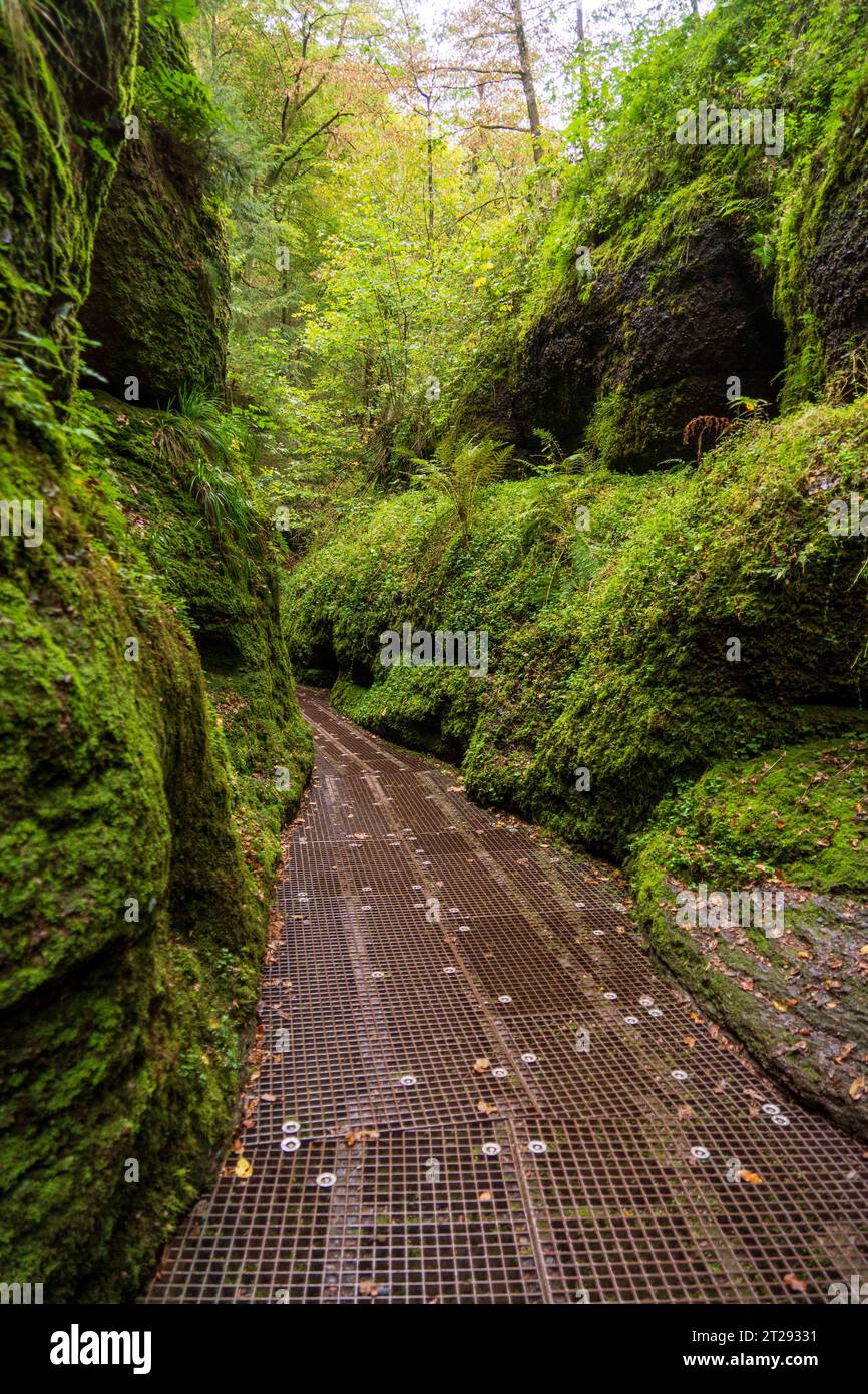 Die Drachenschlucht, Wandergebiet in Eisenach, Thüringen, Deutschland Stockfoto