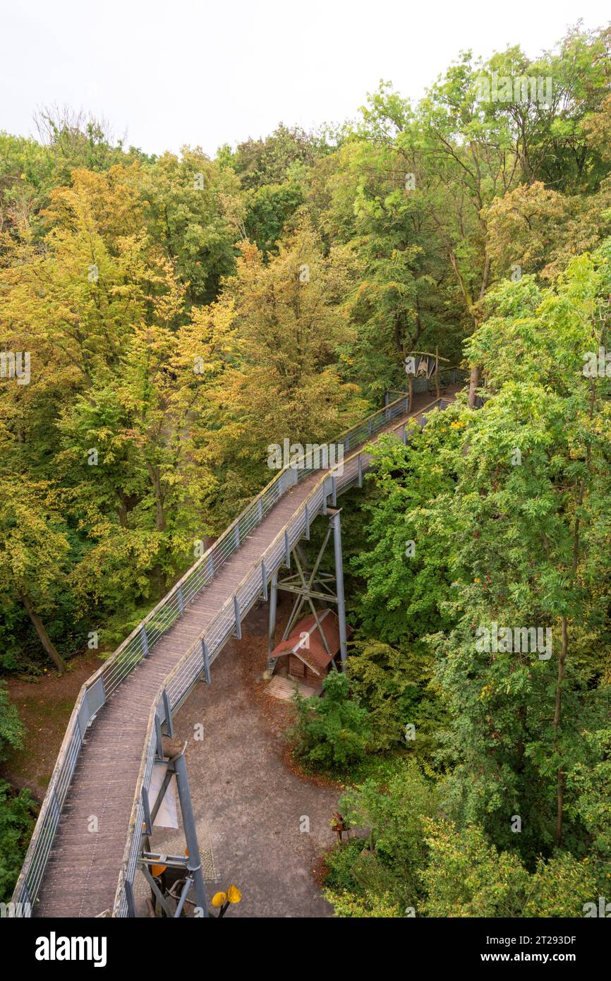 Der Nationalpark Hainich, Nationalpark in Thüringen, Deutschland Stockfoto