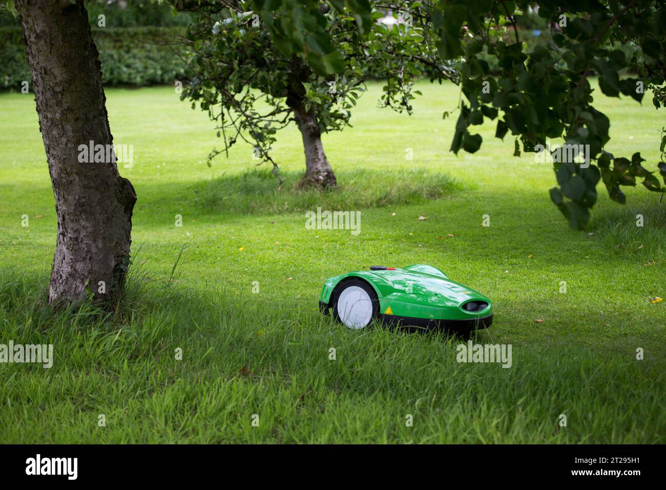 Ein automatisierter iMow Rasenmäher in einem Garten in Großbritannien. Stockfoto