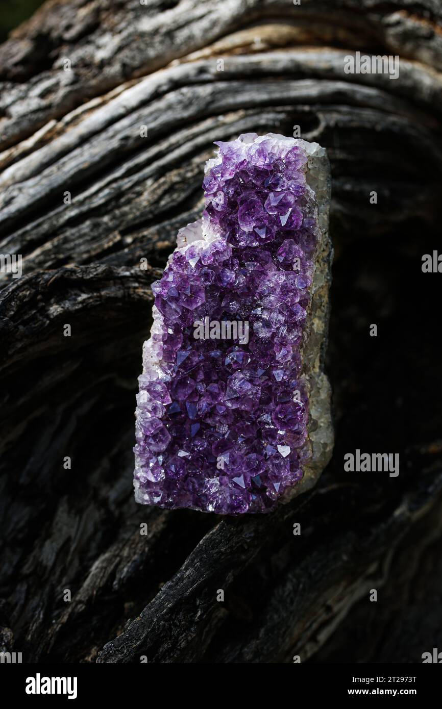 Wunderschöner violetter Amethyst-Kristallcluster Stockfoto