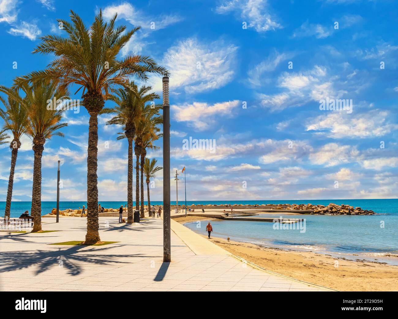 Strand mit Palmen in der Küstenstadt Torrevieja, Alicante, Valencianische Gemeinschaft. Spanien, Mittelmeer Stockfoto