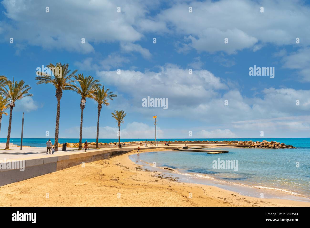 Strand mit Palmen in der Küstenstadt Torrevieja, Alicante, Valencianische Gemeinschaft. Spanien, Mittelmeer Stockfoto