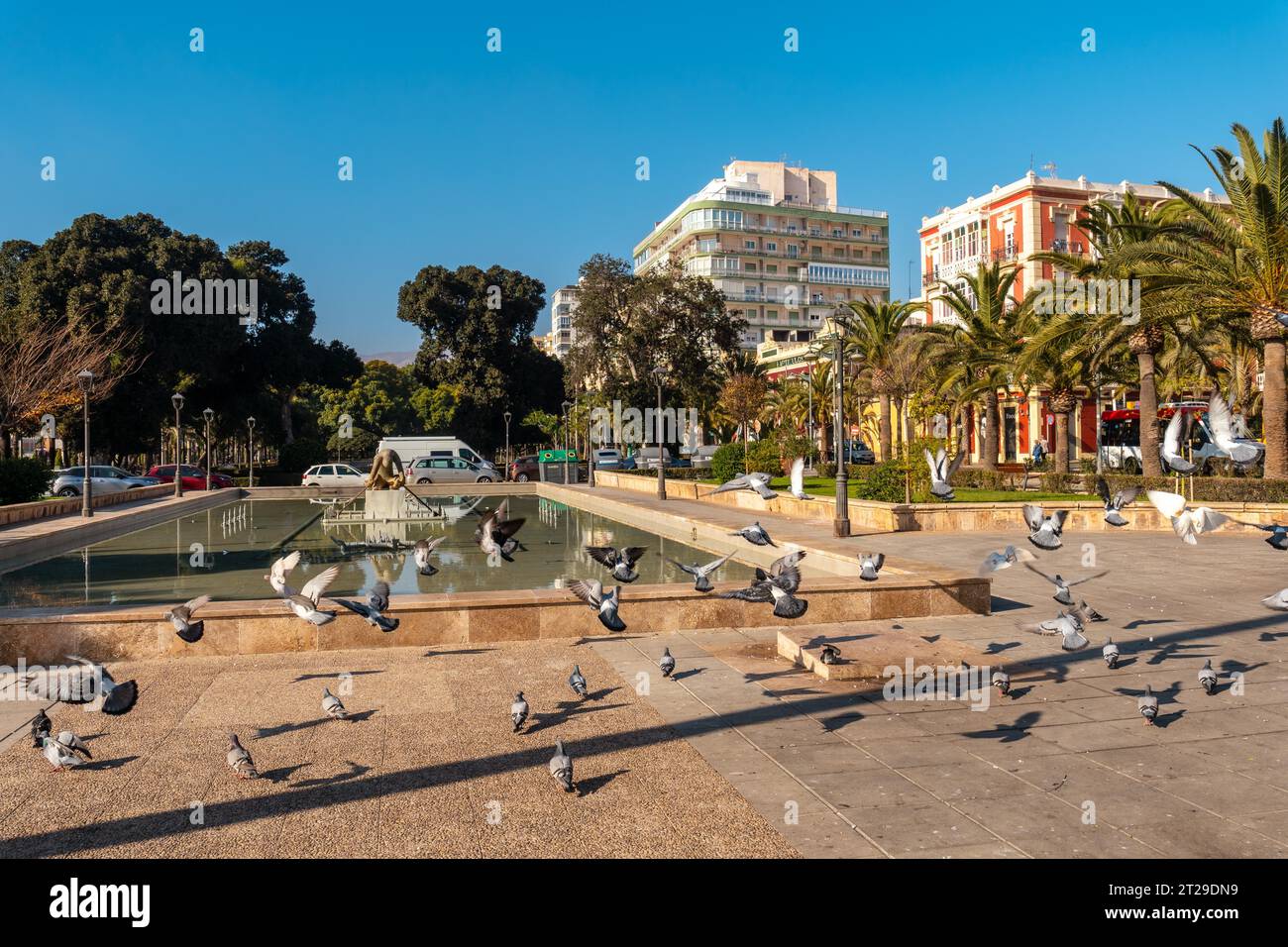 Tauben am Brunnen im Nicolas Salmeron Park der Stadt Almeria, Andalusien. Spanien. Costa del sol im mittelmeer Stockfoto