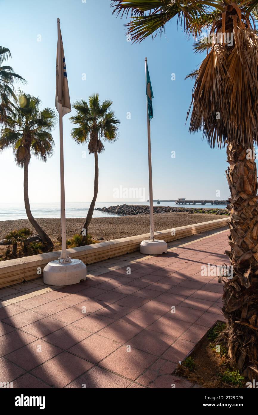 Palmen auf der Playa de San Miguel in Almeria, Andalusien. Spanien. Costa del sol im mittelmeer Stockfoto