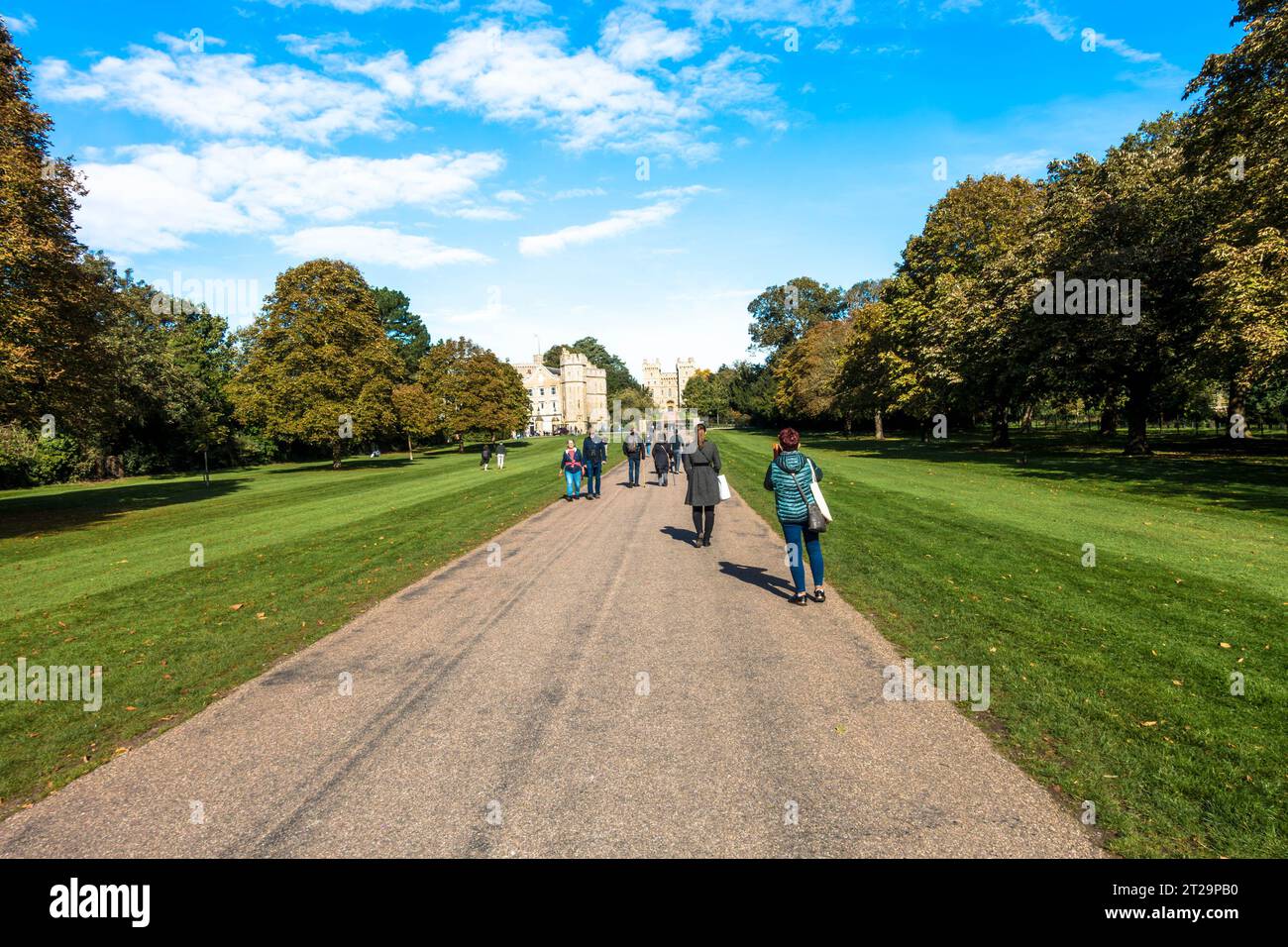 Ein Blick auf den Windsor Long Walk in Richtung Windsor Castle, ein baumgesäumter Pfad durch grüne Parklandschaft. Stockfoto