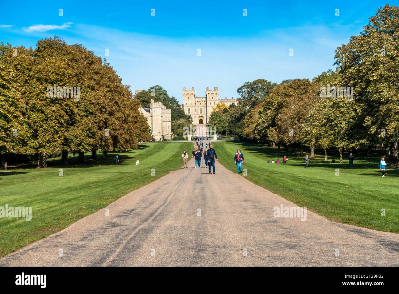 Ein Blick auf den Windsor Long Walk in Richtung Windsor Castle, ein baumgesäumter Pfad durch grüne Parklandschaft. Stockfoto