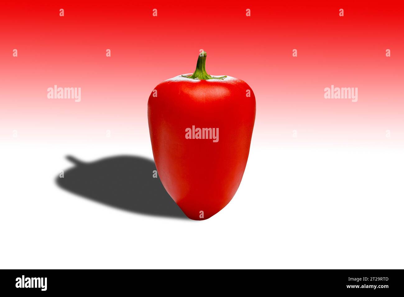 Paprika Stockfoto
