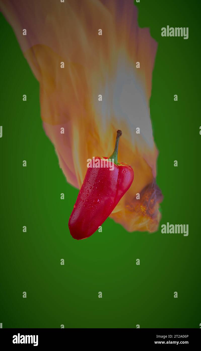 Rote Chilischote mit Flammen dahinter auf grünem Hintergrund. Stockfoto