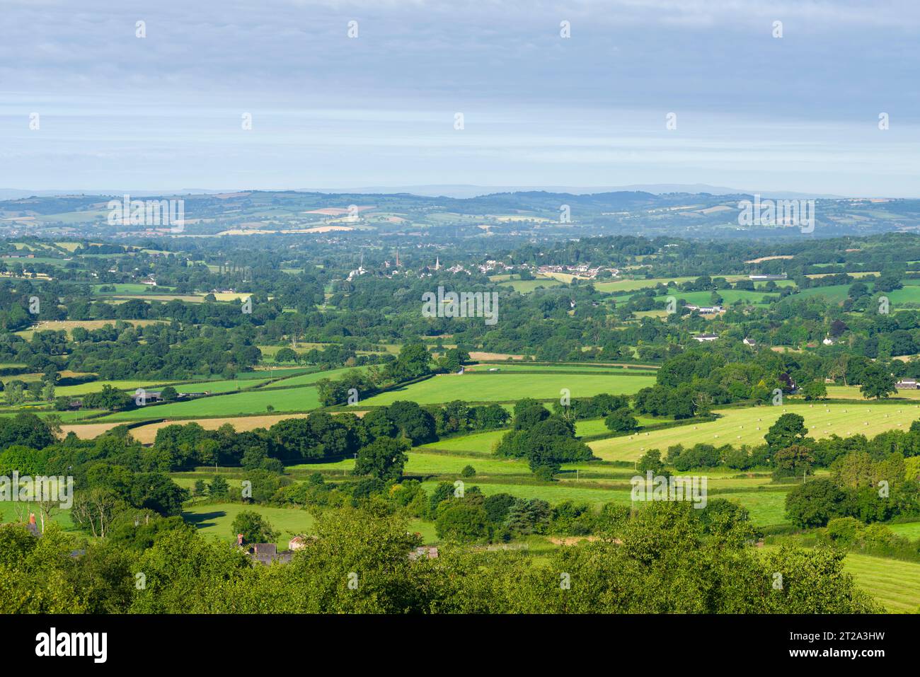 Ein Sommerblick über die Landschaft von Devon in Richtung Uffculme vom Black Down Common in den Blackdown Hills, England. Stockfoto