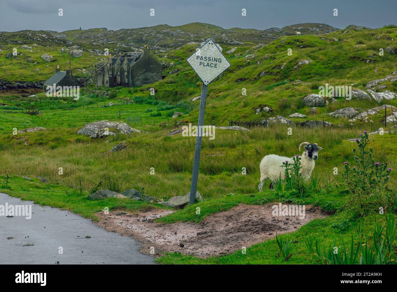 Vorbeifahrende Orte sind berühmt auf den kleinen einspurigen Straßen im Süden der Isle of Harris, Schottland. Stockfoto
