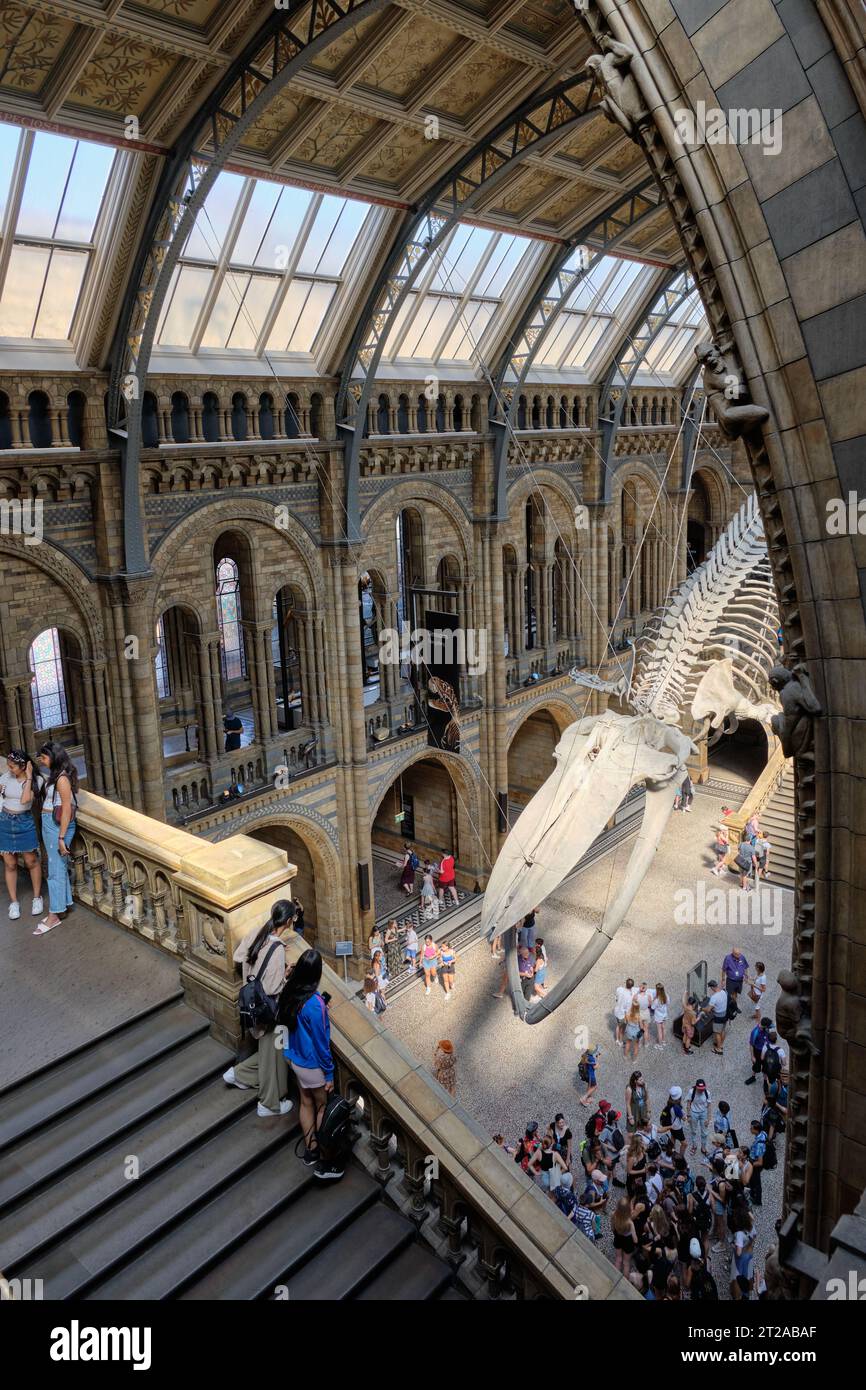 Korridore und Treppen des Natural History Museum in London. 10. Oktober, London, Großbritannien. Stockfoto
