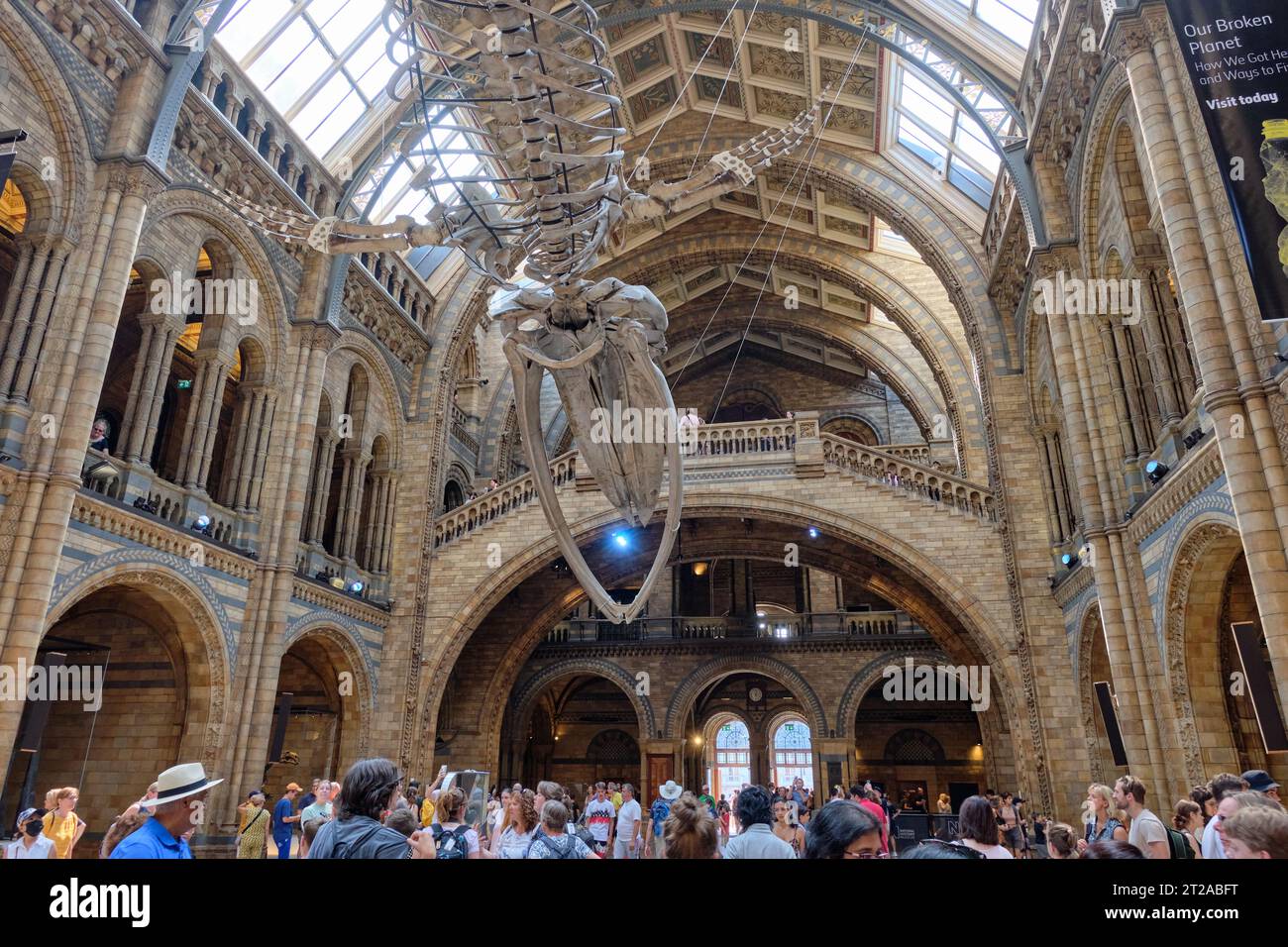 Beeindruckende Central Hall im Londoner Natural History Museum. 10. Oktober 2023 in London, Großbritannien Stockfoto