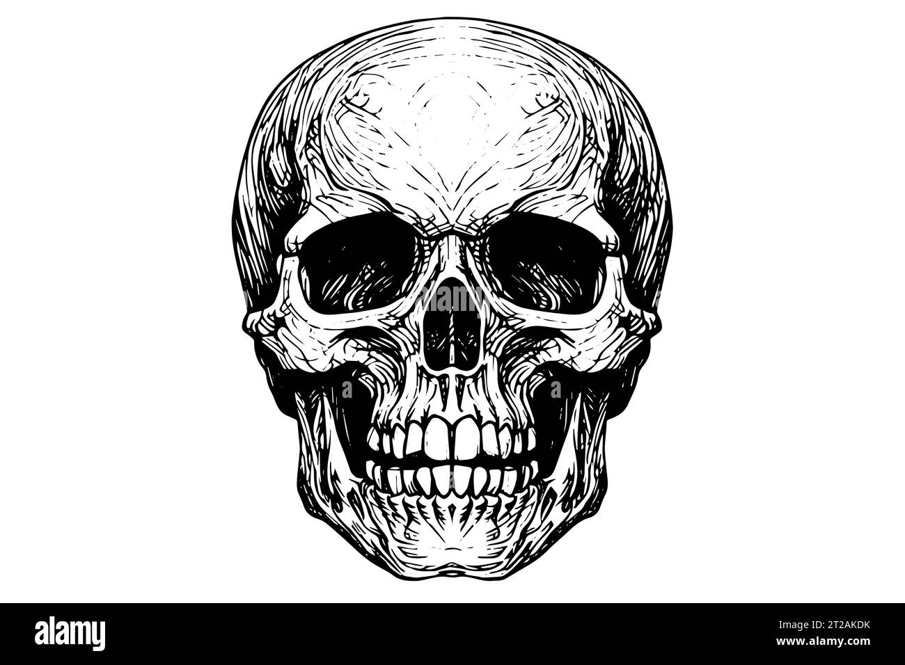 Skull Hand gezeichnete Tuschenskizze. Vektorillustration mit Gravur. Stock Vektor