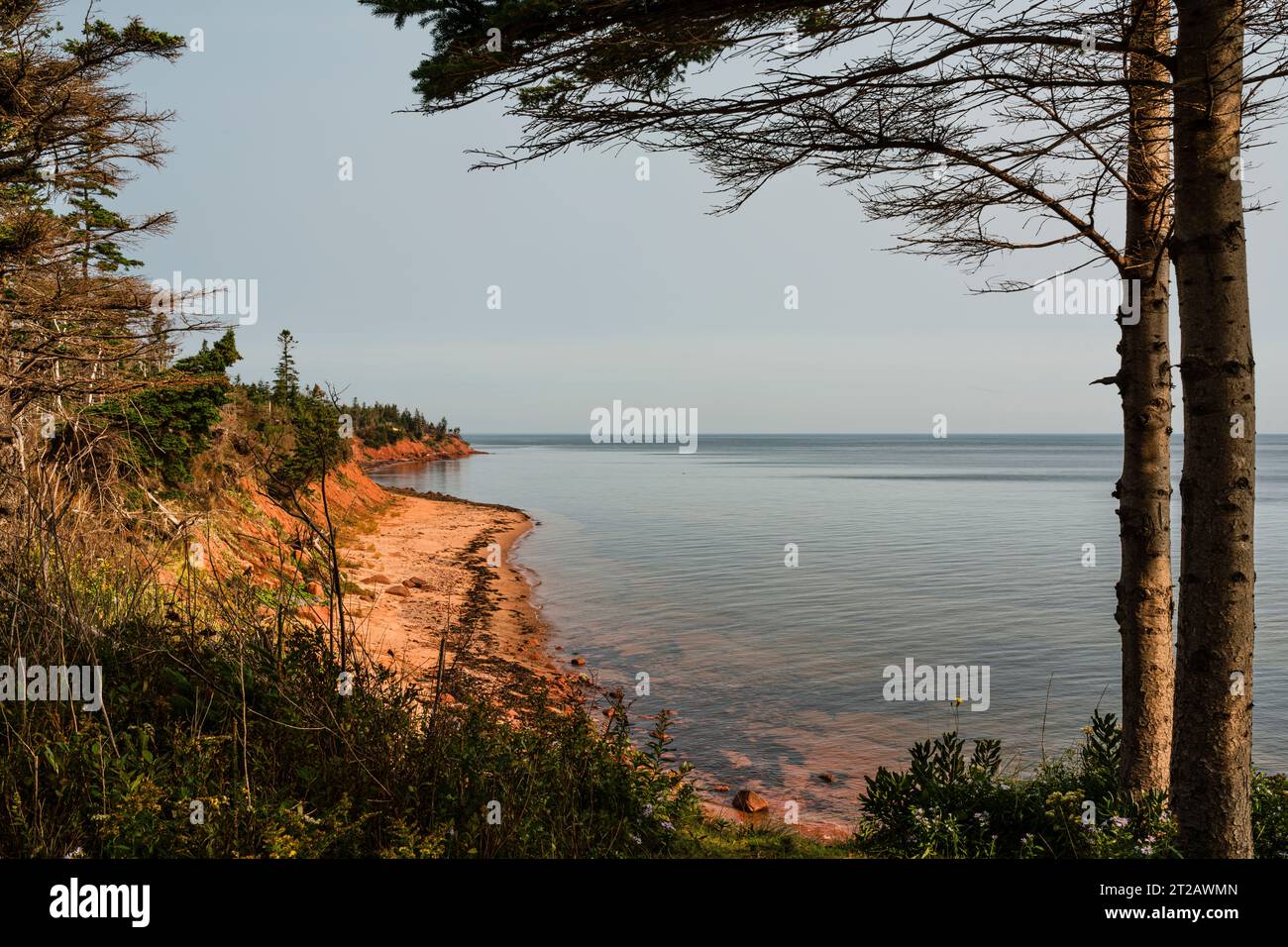 Murray Head vom Cape Bear Lighthouse & Marconi Station   Murray Harbor, Prince Edward Island, CAN Stockfoto