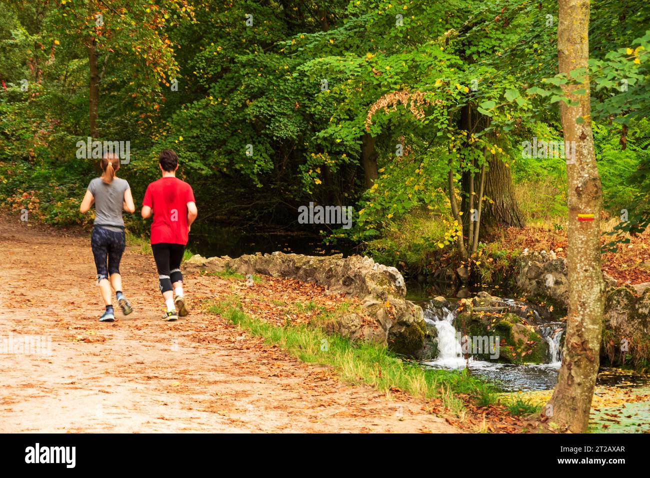 PARIS, FRANKREICH - 14. OKTOBER 2018: Junges Paar joggen in der Nähe des Baches im Wald von Vincennes von Paris, einer der größten Grünflächen der Stadt, perfekt für W Stockfoto
