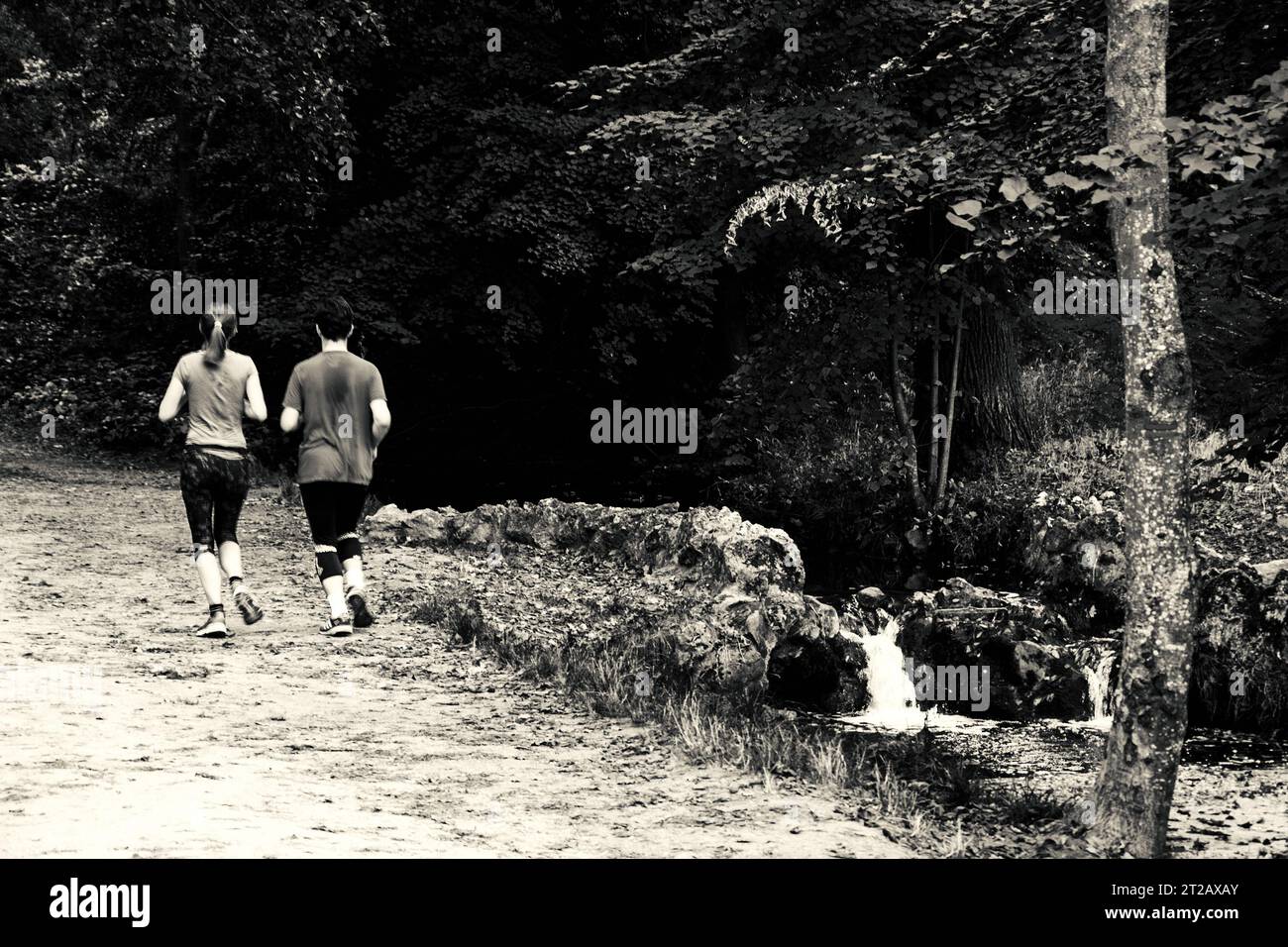 PARIS, FRANKREICH - 14. OKTOBER 2018: Junges Paar joggen in der Nähe des Baches im Wald von Vincennes von Paris, einem der größten Grünflächen der Stadt. Unscharfe Bewegung. Stockfoto