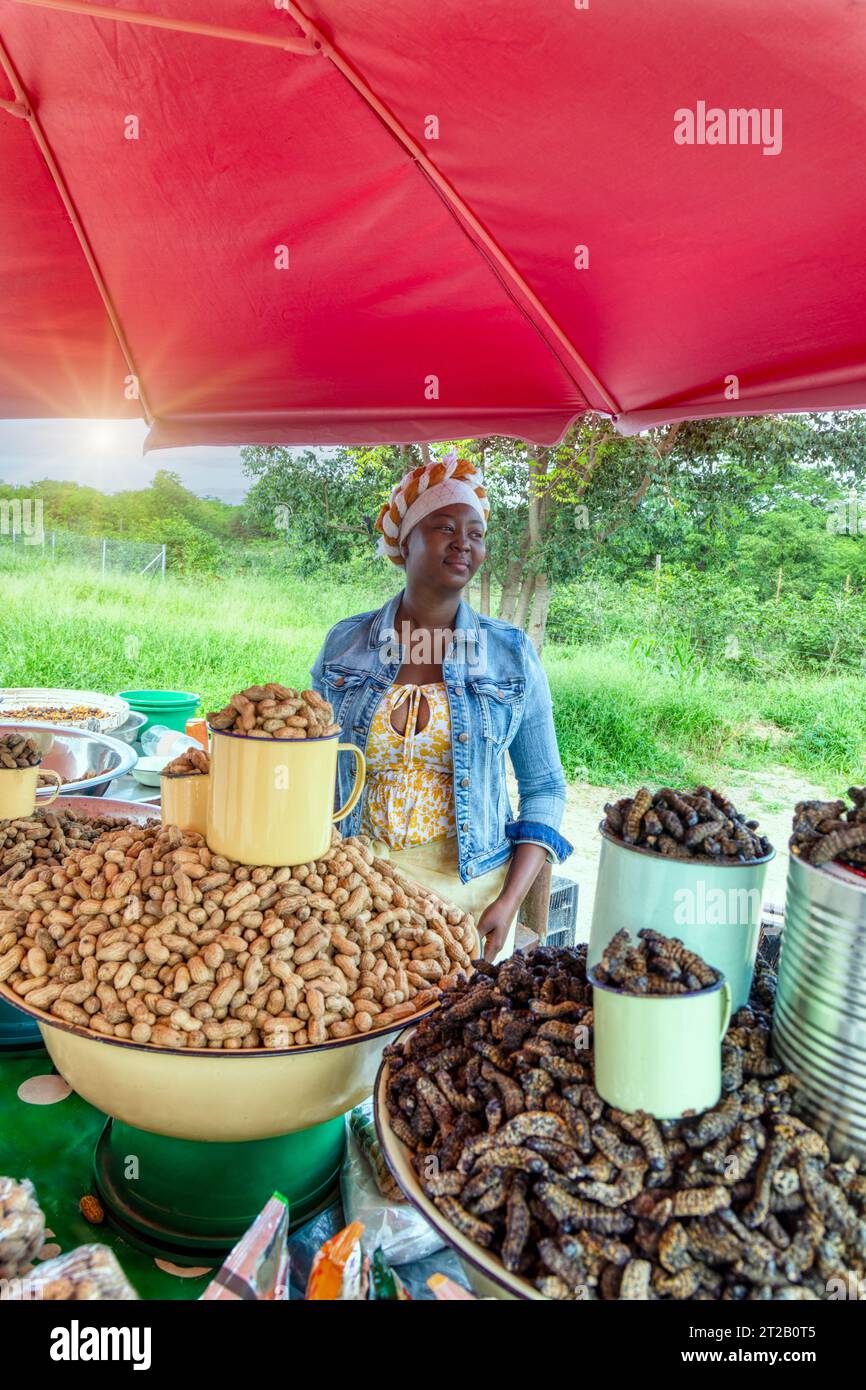 afrikanische Frau, die Mopanwürmer, rohe Erdnüsse und Rosinen verkauft Stockfoto