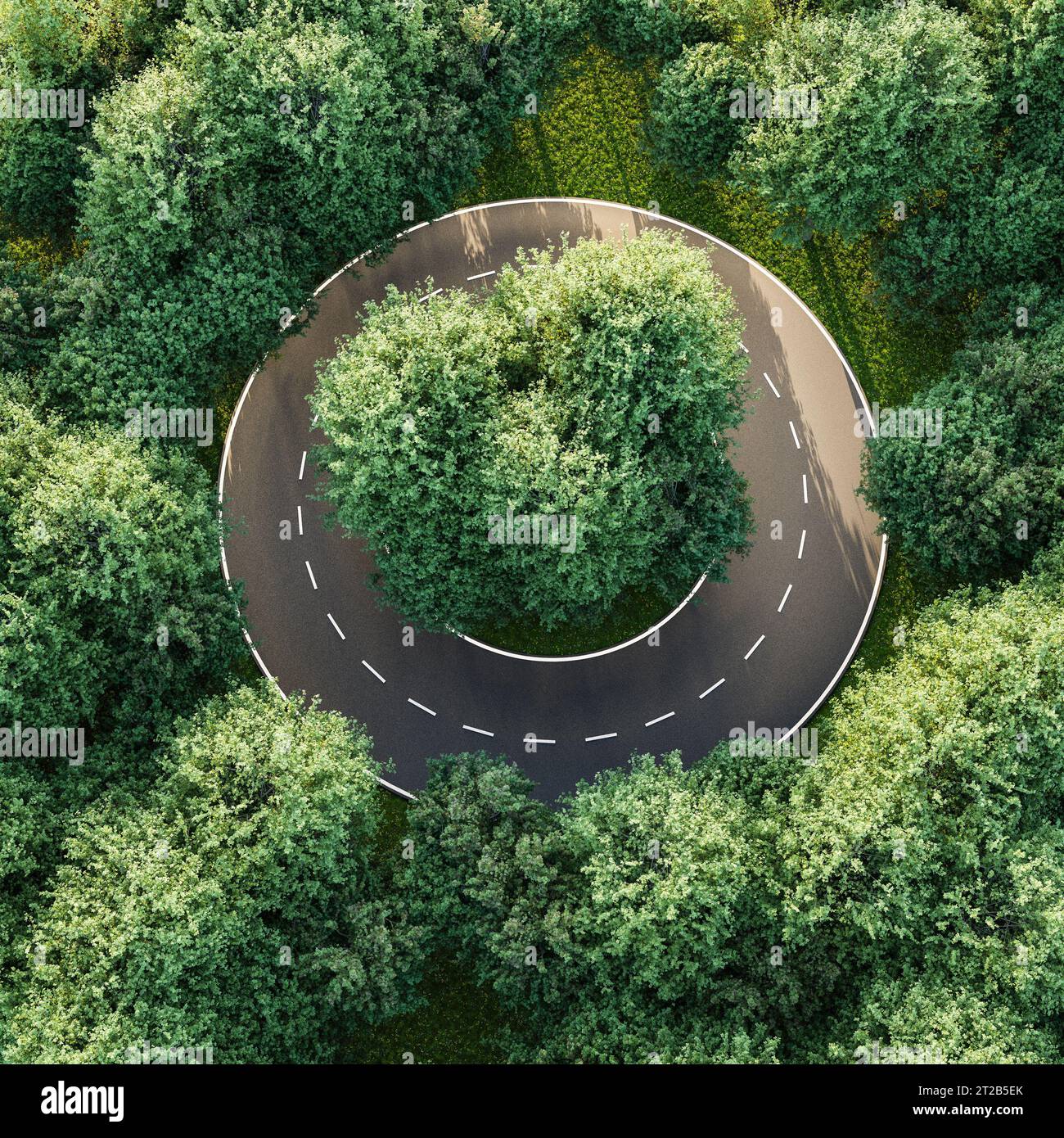 Luftbild einer kreisförmigen Straße in einem Ulmenwald - Konzept für keinen Ausweg, Hoffnungslosigkeit, Langeweile, Gleichmäßigkeit, Konformität. 3D-Rendering Stockfoto