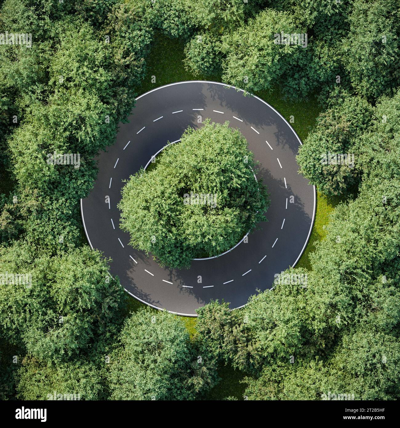 Luftbild einer kreisförmigen Straße in einem Ulmenwald - Konzept für keinen Ausweg, Hoffnungslosigkeit, Langeweile, Gleichmäßigkeit, Konformität. 3D-Rendering Stockfoto