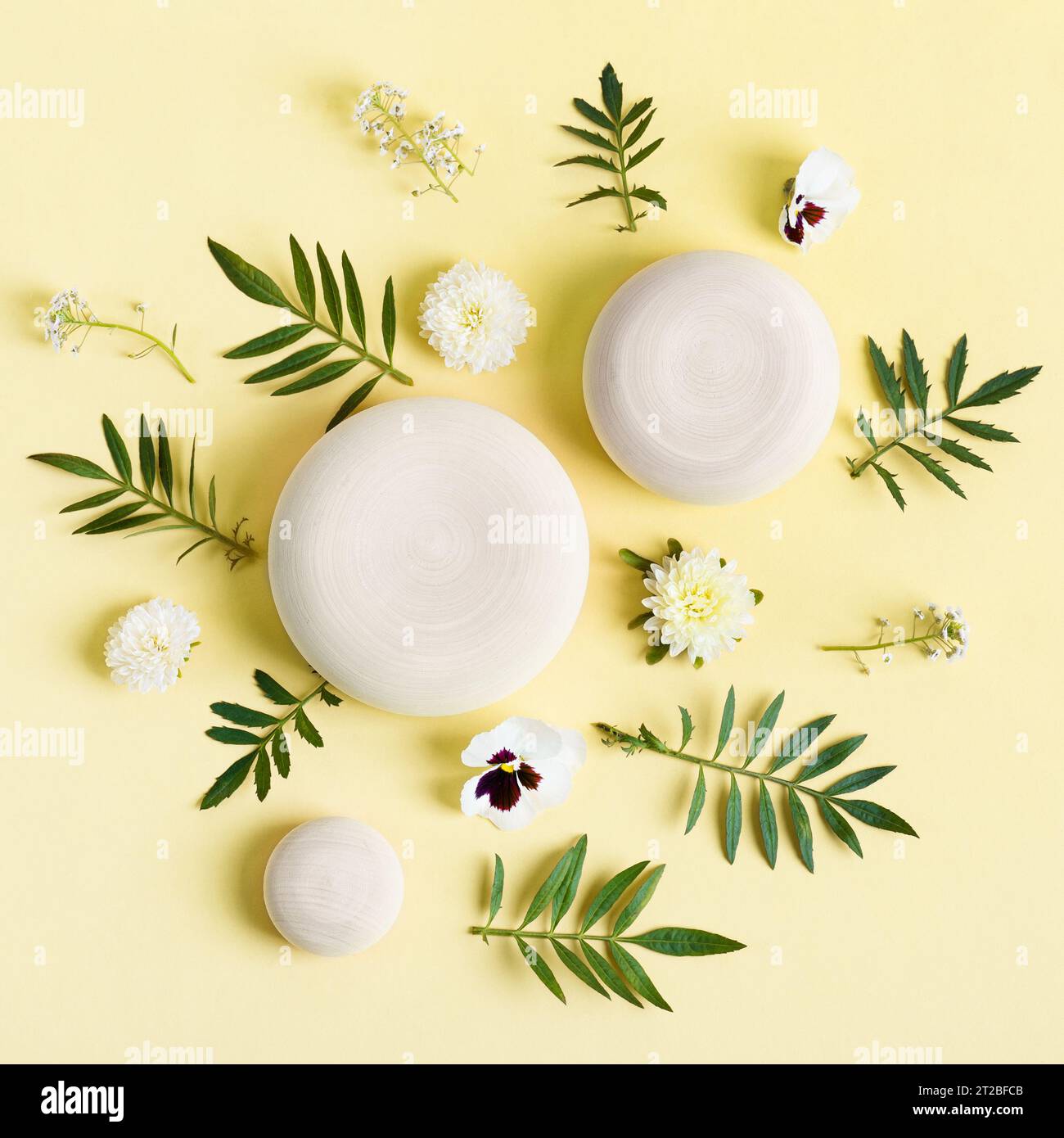 Hölzerner runder Podiumsockel kosmetische Schönheitsproduktpräsentation leeres Modell auf grünem Pastellhintergrund mit Blättern und weißen Blumen. Minimalistisches Zimmer Stockfoto