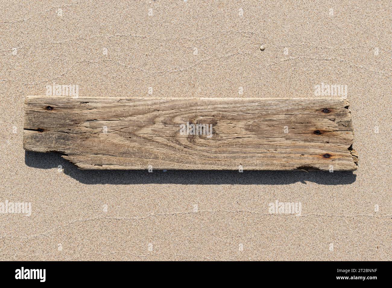 Meer Drift Holzplanke isoliert auf Strand Sand Hintergrund. Vorlagenmodell Stockfoto