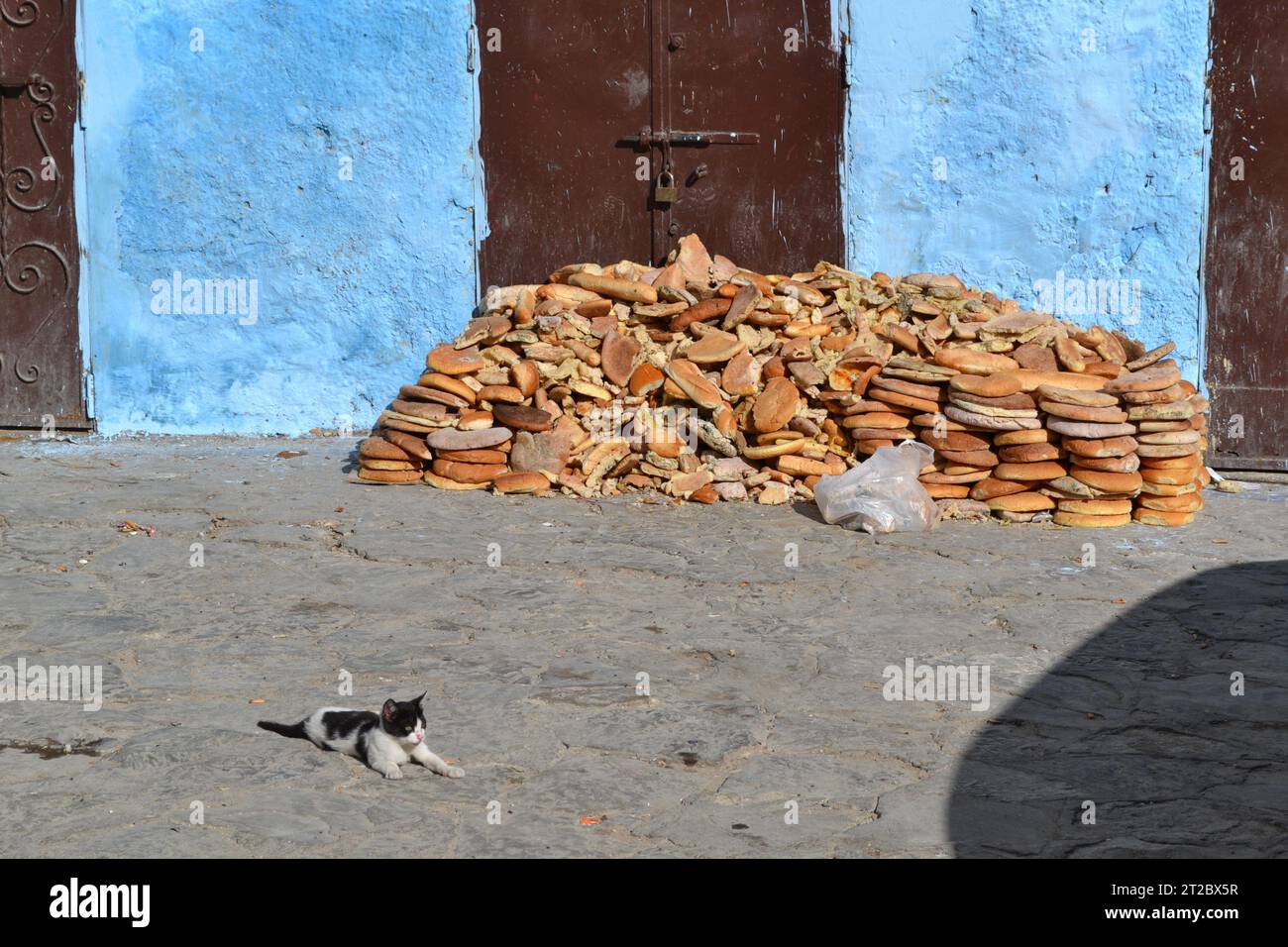 Lebensmittelverschwendung mit weggeworfenem Brot und einer streunenden Katze auf einer Straße in der Altstadt von Tanger, Marokko. Stockfoto