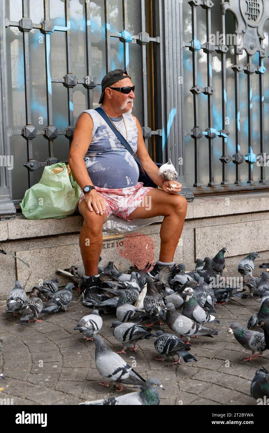 Man füttert Tauben im Stadtzentrum Stockfoto