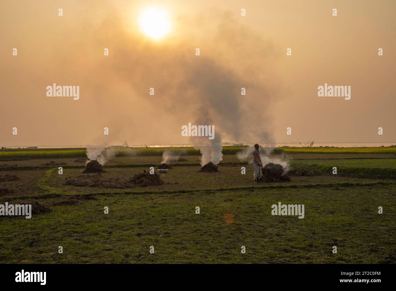 Verbrennung landwirtschaftlicher Abfälle - Smog und Verschmutzung. Schädliche Emissionen durch die Verbrennung von Heu und Stroh in landwirtschaftlichen Feldern. Chandpur, Bangladesch Stockfoto
