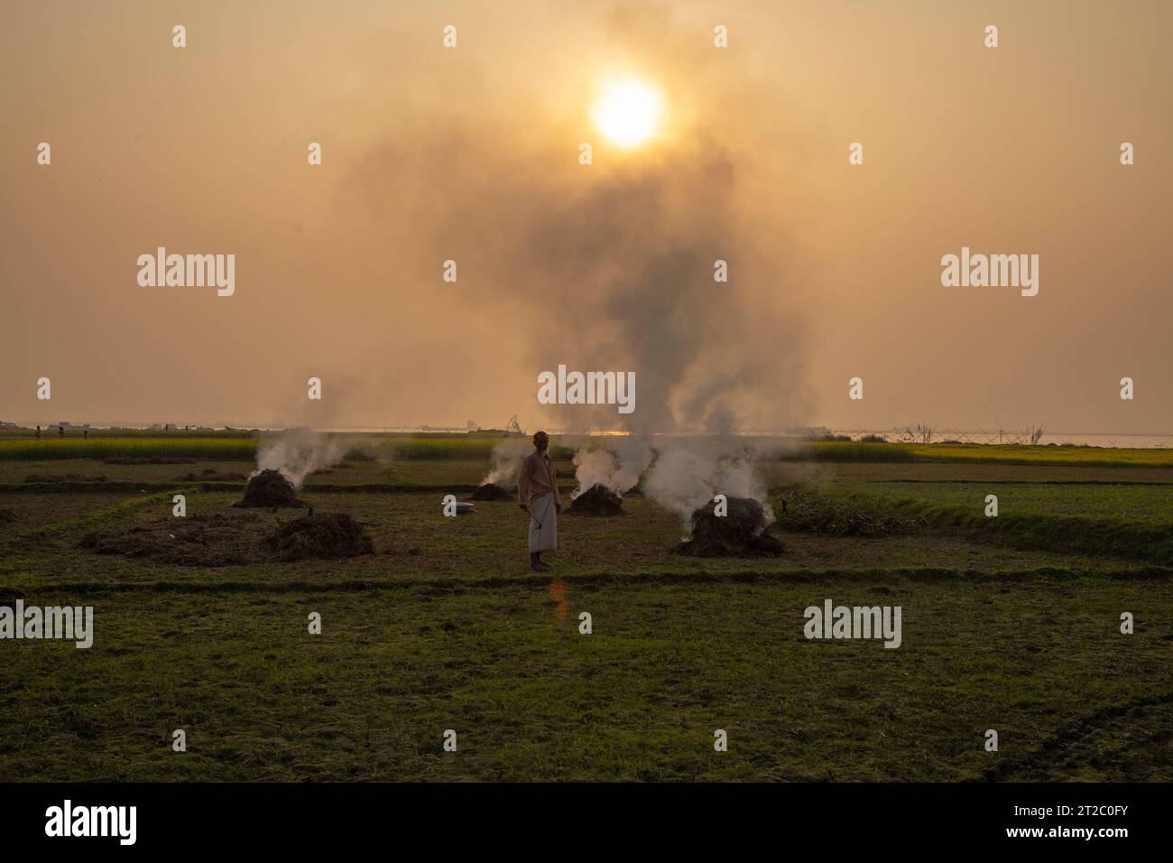Verbrennung landwirtschaftlicher Abfälle - Smog und Verschmutzung. Schädliche Emissionen durch die Verbrennung von Heu und Stroh in landwirtschaftlichen Feldern. Chandpur, Bangladesch Stockfoto
