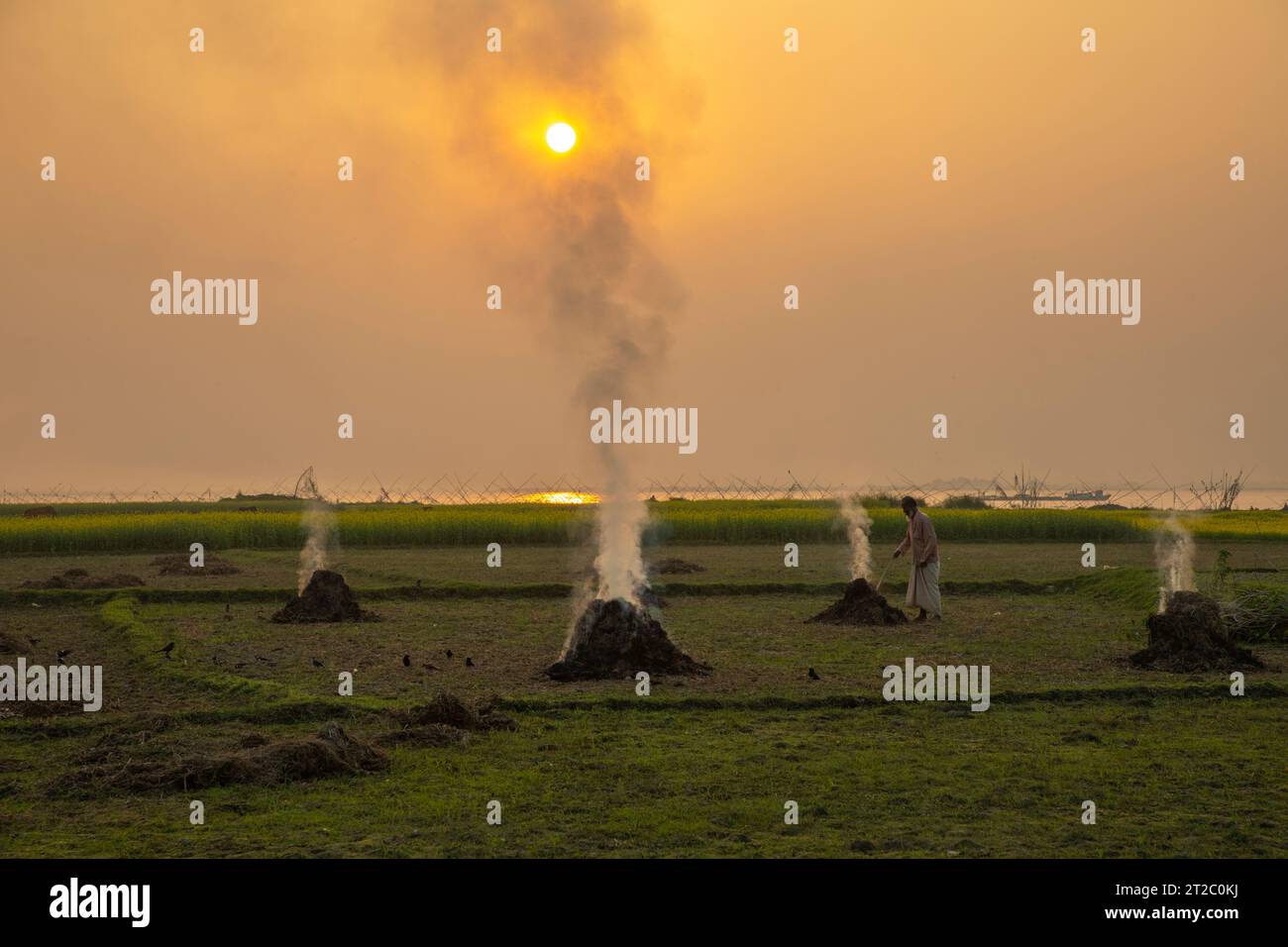 Verbrennung landwirtschaftlicher Abfälle - Smog und Verschmutzung. Schädliche Emissionen durch die Verbrennung von Heu und Stroh in landwirtschaftlichen Feldern. Chandpur, Bangladesch Stockfoto
