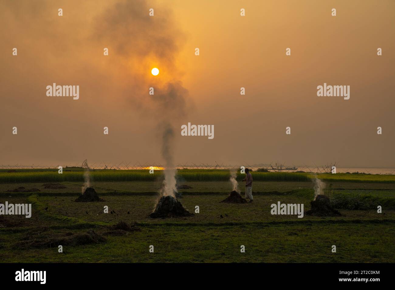 Verbrennung landwirtschaftlicher Abfälle - Smog und Verschmutzung. Schädliche Emissionen durch die Verbrennung von Heu und Stroh in landwirtschaftlichen Feldern. Chandpur, Bangladesch Stockfoto