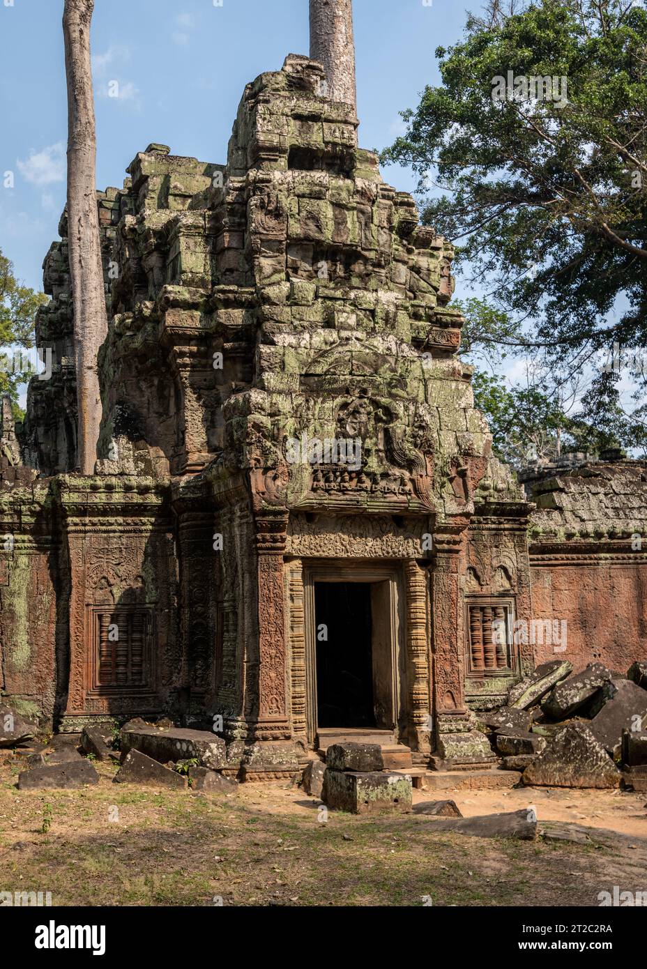 TA Prohm Tempel, wie in Tomb Raider und Indiana Jones, Siem Reap, Kambodscha verwendet Stockfoto