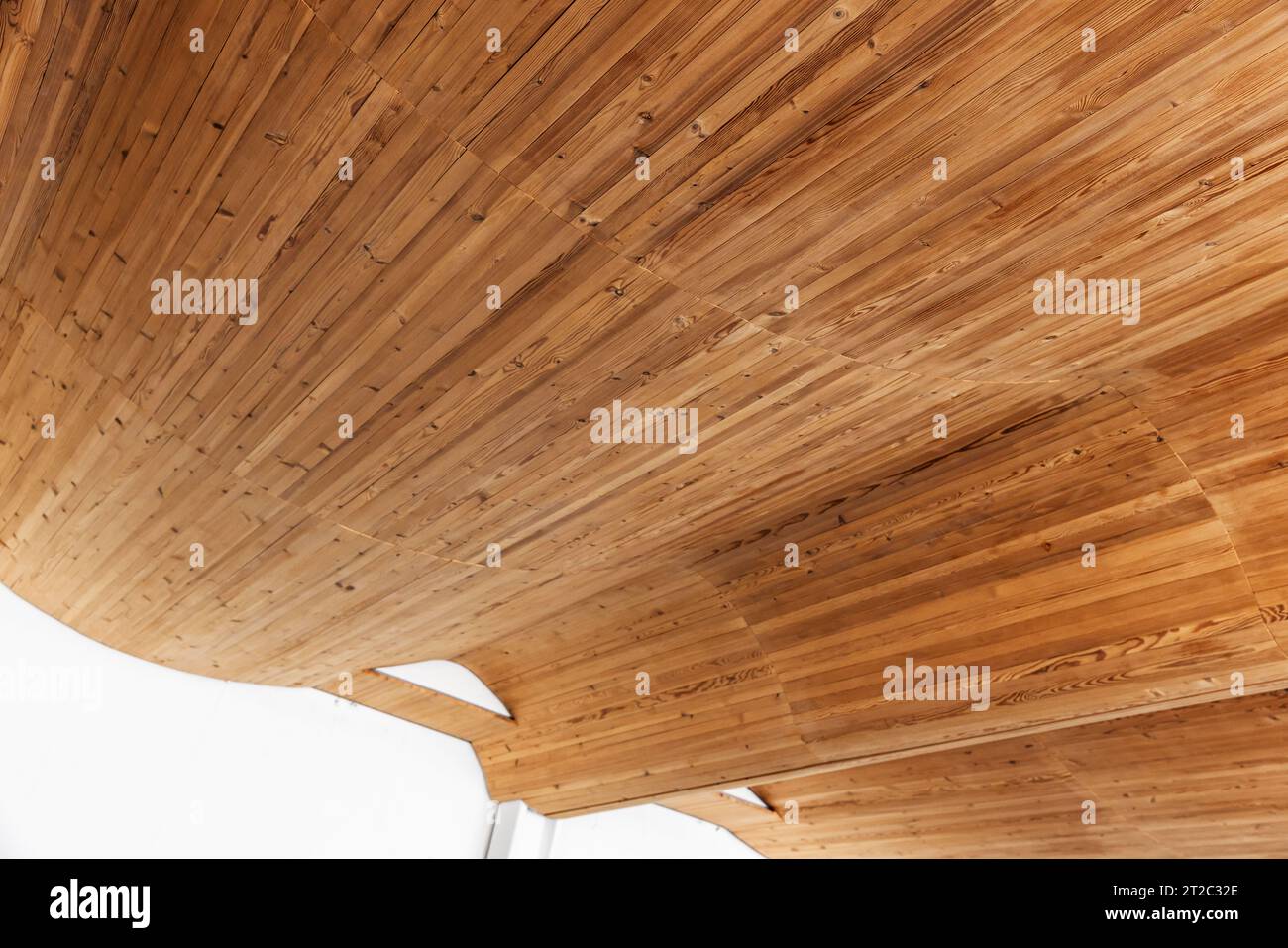 Leerer Innenraum mit gebogener Decke aus Holzdielen, Hintergrundfoto parametrischer Architektur Stockfoto