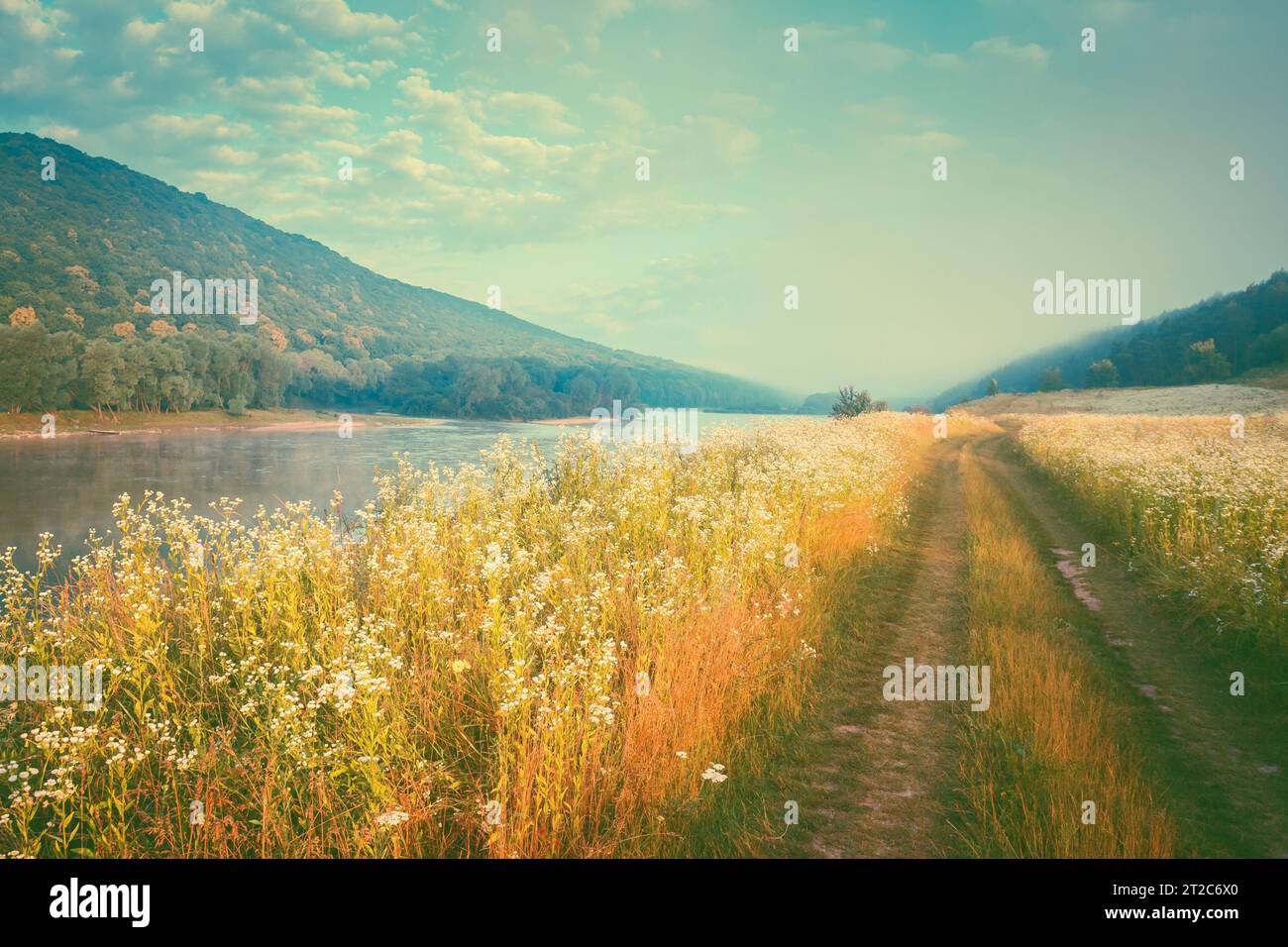 Fantastischer, nebliger Fluss mit frischem Gras im Sonnenlicht. Dramatische ungewöhnliche Szene. Warmer Sonnenuntergang auf Dnister. Ukraine, Europa. Beauty-Welt. Retro und vint Stockfoto