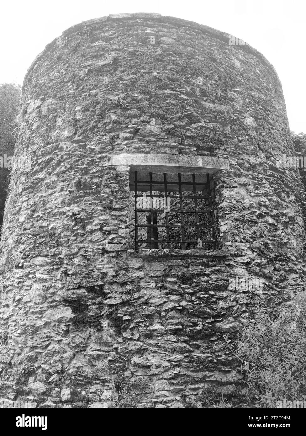 Alter keltischer Gefängnisturm, Blarney Castle in Irland, alter Architekturhintergrund Stockfoto